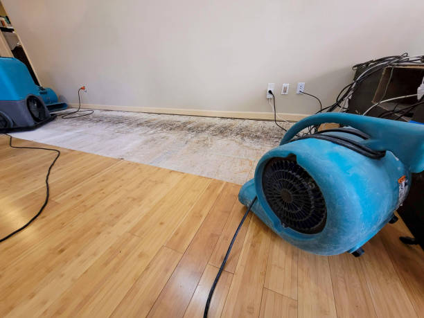 Professional Flood Damage Cleanup technician working in Bay Port, MI